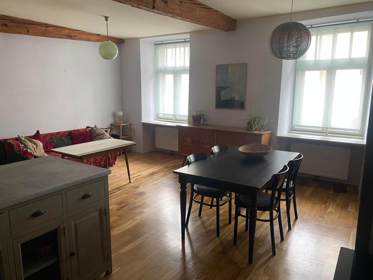 Vintage Charm Apartment Любляна Екстер'єр фото