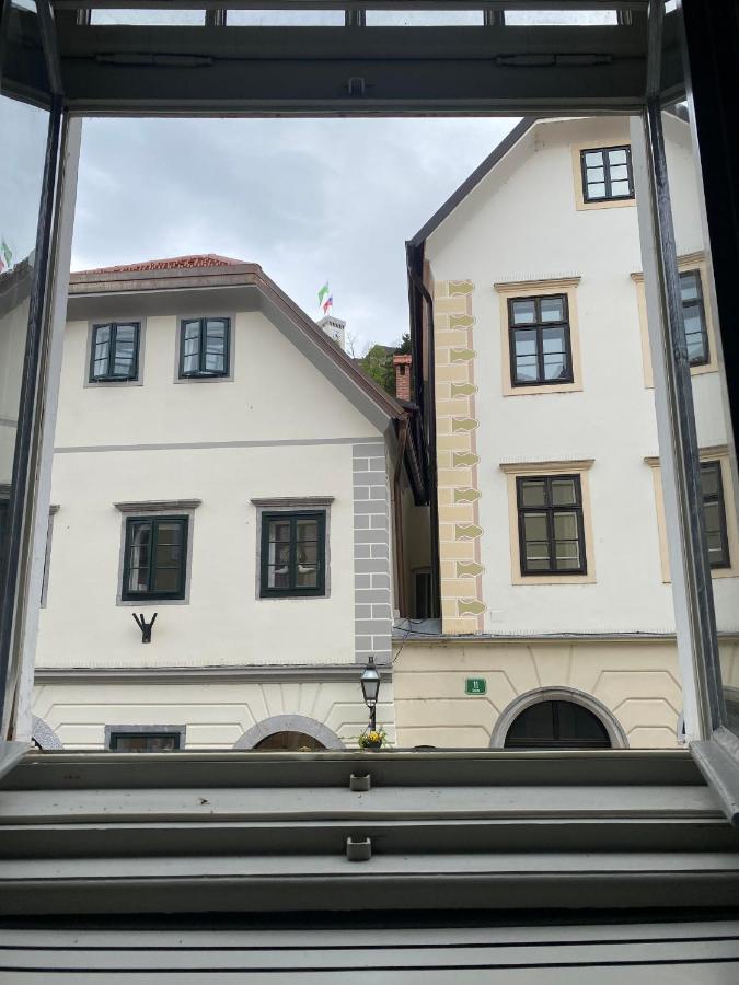 Vintage Charm Apartment Любляна Екстер'єр фото